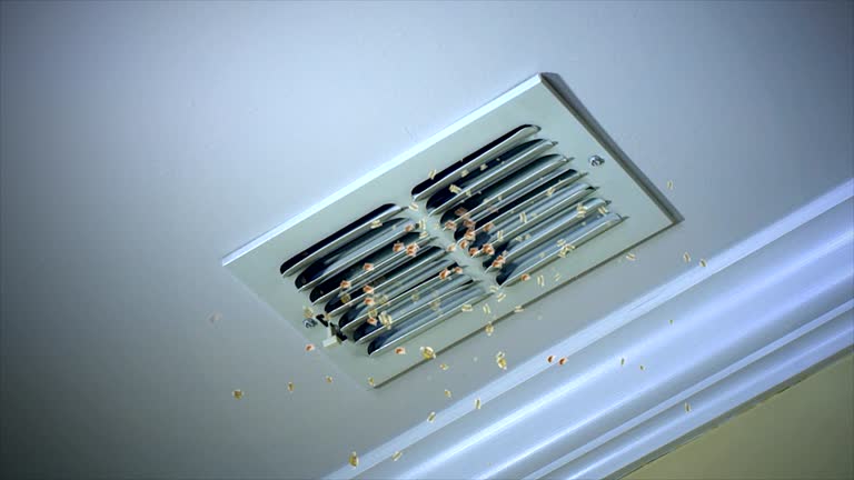 Best Commercial Air Duct Cleaning  in Vandalia, MO