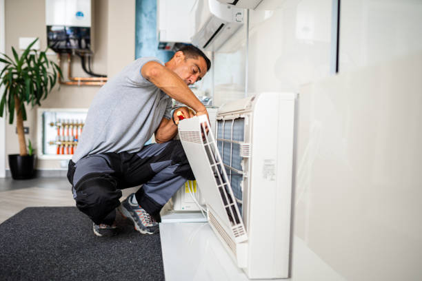Best Air Duct Mold Removal  in Vandalia, MO